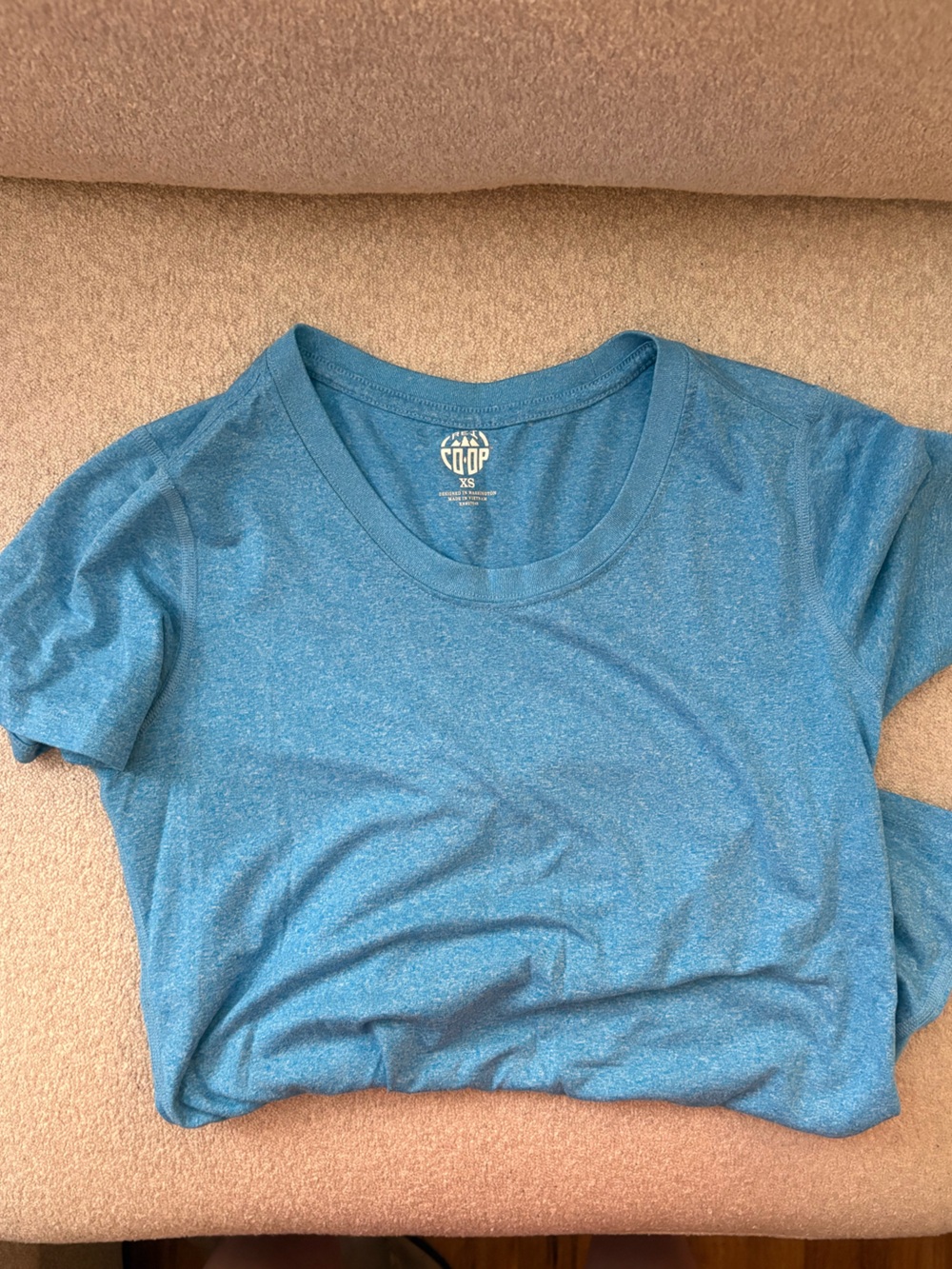REI Co-Op Blue Tee